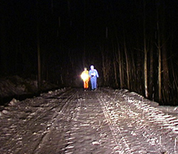 Anu Pennanen "Heavy Snowflakes" 2002